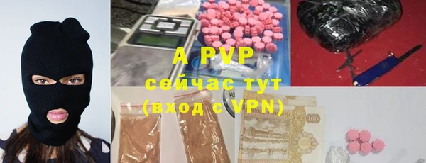 ГАЛЛЮЦИНОГЕННЫЕ ГРИБЫ Струнино