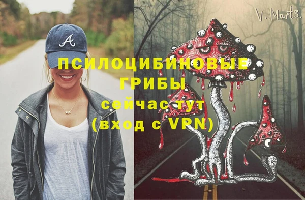 ГАЛЛЮЦИНОГЕННЫЕ ГРИБЫ Струнино